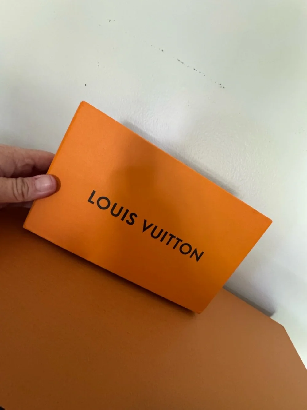Louis Vuitton authentic louis